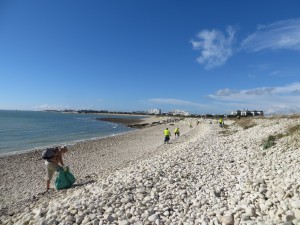 Nettoyage de plage (5)